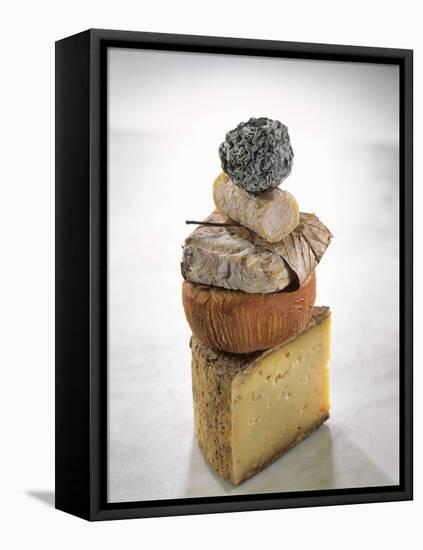 Still Life with Various Types of French Cheese-Nicolas Leser-Framed Stretched Canvas