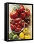 Still Life with Various Types of Tomatoes-Eising Studio - Food Photo and Video-Framed Stretched Canvas