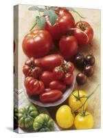 Still Life with Various Types of Tomatoes-Eising Studio - Food Photo and Video-Stretched Canvas