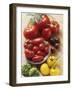 Still Life with Various Types of Tomatoes-Eising Studio - Food Photo and Video-Framed Photographic Print