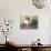 Still Life with Violin-Henri Ottmann-Stretched Canvas displayed on a wall