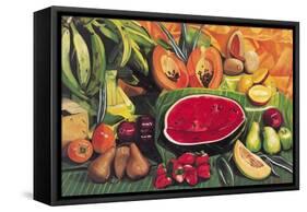 Still Life with Watermelon, 2005-Pedro Diego Alvarado-Framed Stretched Canvas