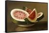 Still Life with Watermelon, American School (19th Century)-null-Framed Stretched Canvas