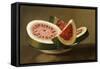 Still Life with Watermelon, American School (19th Century)-null-Framed Stretched Canvas