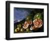 Still Life with Watermelons and Apples in a Landscape, 1771-Luis Egidio Meléndez-Framed Giclee Print