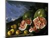 Still Life with Watermelons and Apples in a Landscape, 1771-Luis Egidio Meléndez-Mounted Giclee Print