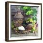 Still Life with White Wine, Grapes, Cheese and Walnuts-null-Framed Photographic Print