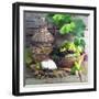 Still Life with White Wine, Grapes, Cheese and Walnuts-null-Framed Photographic Print