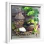 Still Life with White Wine, Grapes, Cheese and Walnuts-null-Framed Photographic Print