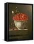 Still Life with Wild Strawberries in a Chinese Bowl-Adrian Coorte-Framed Stretched Canvas