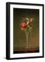 Still Life with Wine Glass, 1860-Martin Johnson Heade-Framed Giclee Print