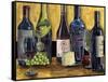 Still Life with Wine II-Melissa Wang-Framed Stretched Canvas