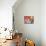 Still Life-Peter Graham-Mounted Art Print displayed on a wall