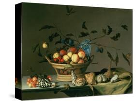 Still Life-Balthasar van der Ast-Stretched Canvas