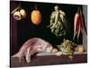 Still Life-Juan Sanchez Cotan-Stretched Canvas