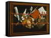 Still-Life-Samuel van Hoogstraten-Framed Stretched Canvas