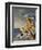 Still Life-Edward Wadsworth-Framed Giclee Print