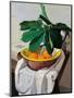 Still Life-Oscar Ghiglia-Mounted Premium Giclee Print