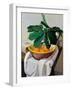 Still Life-Oscar Ghiglia-Framed Giclee Print