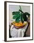 Still Life-Oscar Ghiglia-Framed Giclee Print