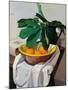 Still Life-Oscar Ghiglia-Mounted Giclee Print