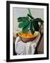 Still Life-Oscar Ghiglia-Framed Giclee Print