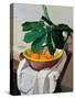 Still Life-Oscar Ghiglia-Stretched Canvas