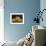 Still Life-Tristram Paul Hillier-Framed Giclee Print displayed on a wall