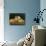 Still Life-Tristram Paul Hillier-Mounted Giclee Print displayed on a wall