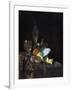 Still Life-Willem Kalf-Framed Giclee Print