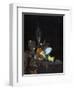 Still Life-Willem Kalf-Framed Giclee Print