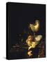 Still Life-Willem Kalf-Stretched Canvas