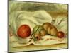 Still Life-Pierre-Auguste Renoir-Mounted Giclee Print