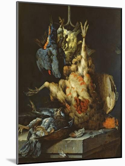 Still Life-Jan Weenix-Mounted Giclee Print