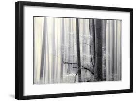 Still Silence-Marvin Pelkey-Framed Giclee Print