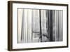 Still Silence-Marvin Pelkey-Framed Giclee Print