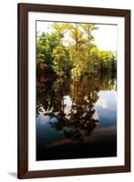 Still Water I-Alan Hausenflock-Framed Photographic Print