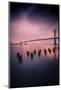 Still Waters Bay Bridge Embarcadero San Francisco-Vincent James-Mounted Photographic Print