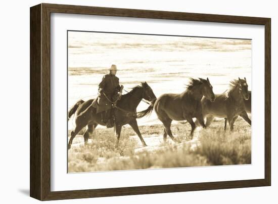 Still Wild-Dan Ballard-Framed Photographic Print