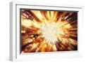 Chelsea White