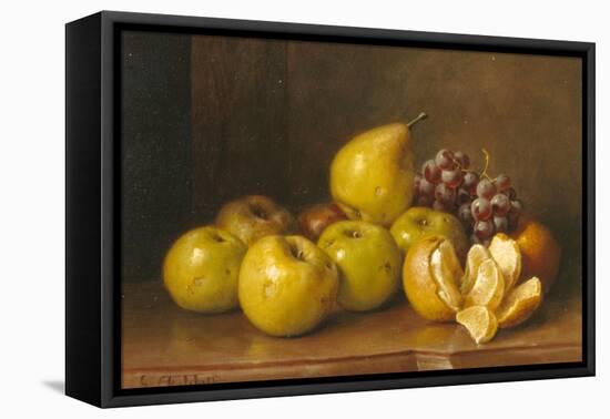 Stilll Life of Fruit-Giuseppe Falchetti-Framed Stretched Canvas