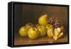 Stilll Life of Fruit-Giuseppe Falchetti-Framed Stretched Canvas