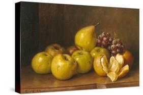 Stilll Life of Fruit-Giuseppe Falchetti-Stretched Canvas