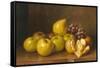 Stilll Life of Fruit-Giuseppe Falchetti-Framed Stretched Canvas