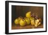 Stilll Life of Fruit-Giuseppe Falchetti-Framed Giclee Print