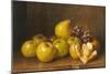 Stilll Life of Fruit-Giuseppe Falchetti-Mounted Giclee Print