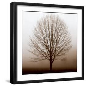 Stillness-Erin Clark-Framed Art Print