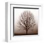 Stillness-Erin Clark-Framed Giclee Print