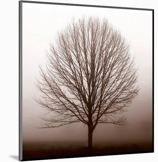 Stillness-Erin Clark-Mounted Giclee Print