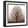 Stillness-Erin Clark-Framed Giclee Print